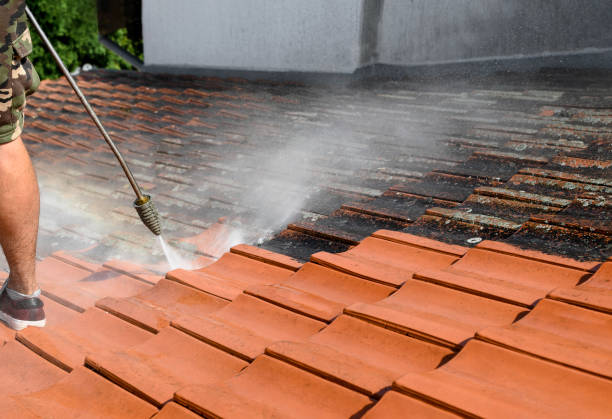 Best Deck Cleaning Services  in Cowarts, AL