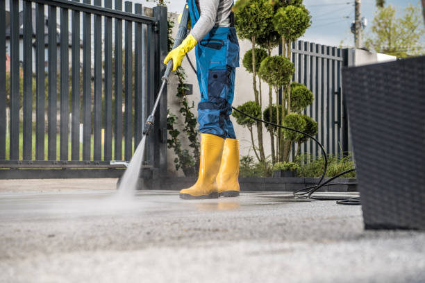 Best Exterior Home Cleaning  in Cowarts, AL